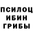 Галлюциногенные грибы Psilocybine cubensis Gleb Sharik