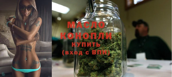 индика Переславль-Залесский