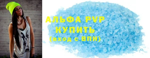 индика Переславль-Залесский