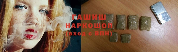 индика Переславль-Залесский