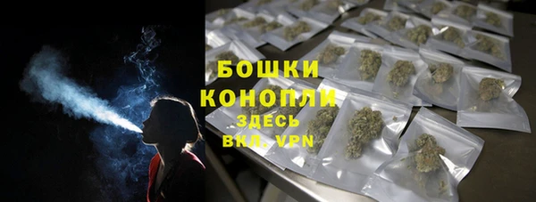 дмт Пересвет