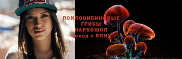 дмт Пересвет