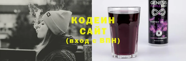 дмт Пересвет