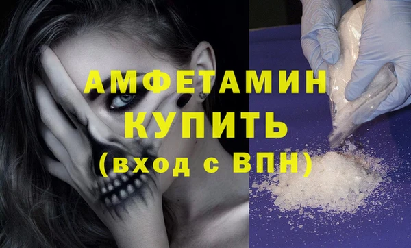 дмт Пересвет