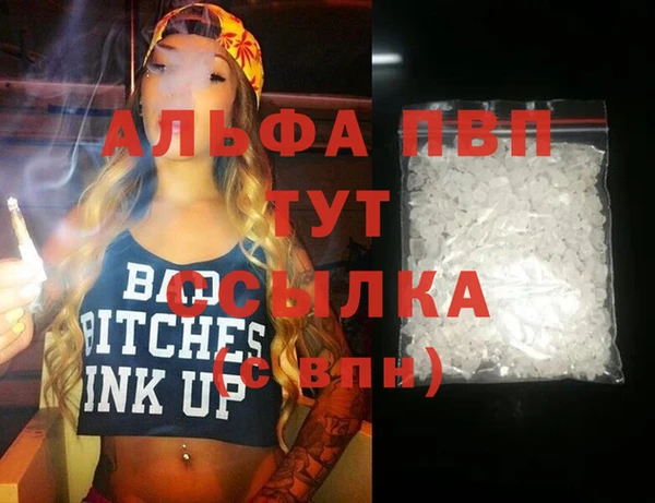 дмт Пересвет