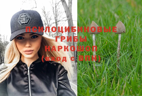 ECSTASY Покачи