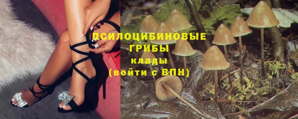 индика Переславль-Залесский