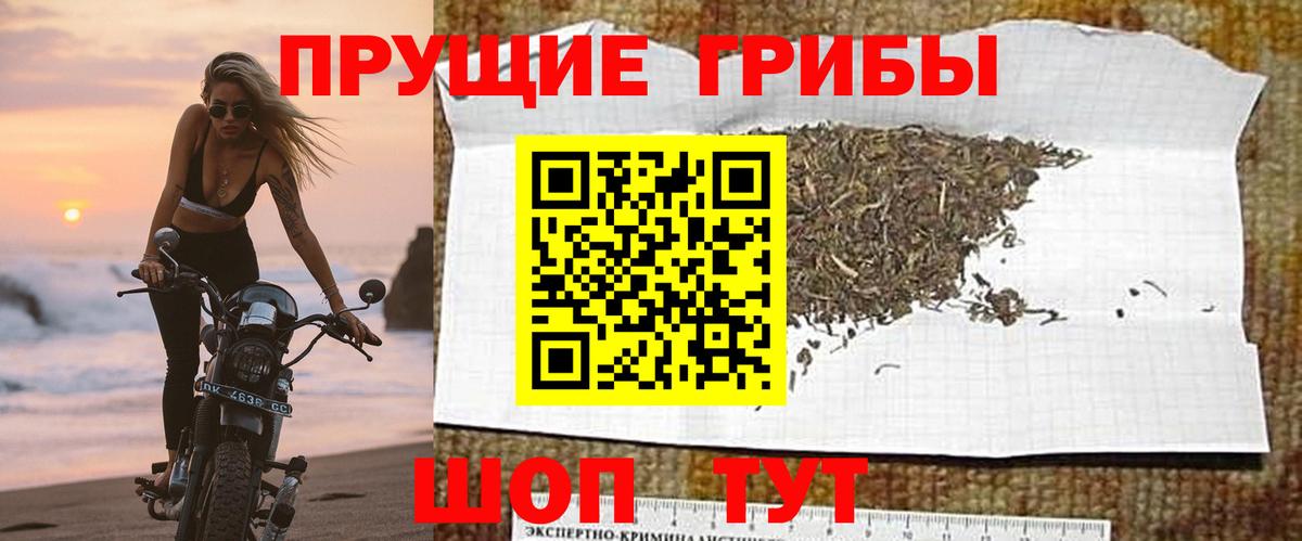 магазин продажи наркотиков  Вход с VPN  Радужный  Галлюциногенные грибы прущие грибы  Галлюциногенные грибы Cubensis 